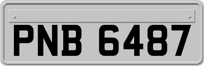 PNB6487