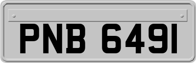 PNB6491