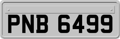 PNB6499