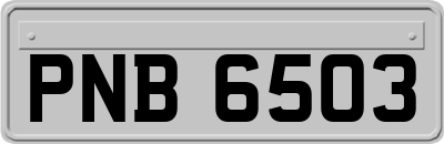 PNB6503