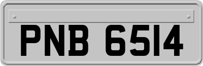 PNB6514