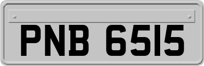 PNB6515