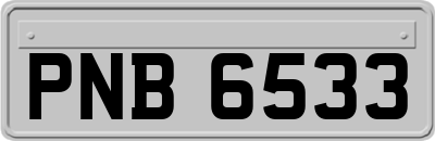 PNB6533