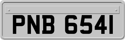 PNB6541