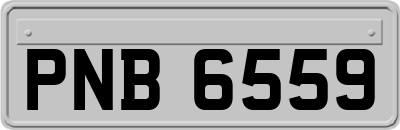 PNB6559