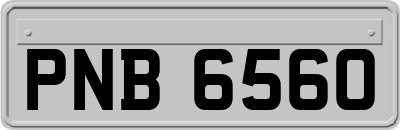 PNB6560