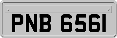 PNB6561