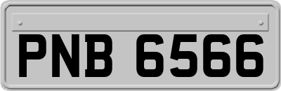 PNB6566