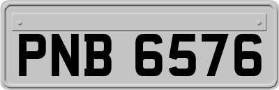 PNB6576