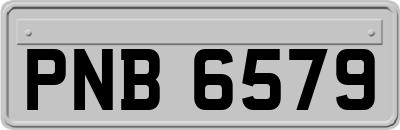 PNB6579