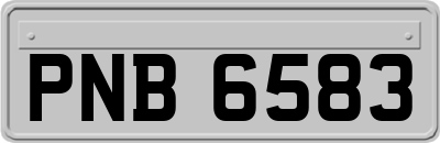 PNB6583