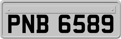 PNB6589