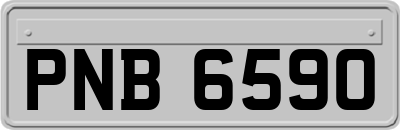 PNB6590