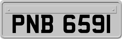 PNB6591