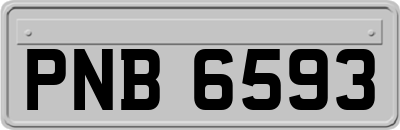 PNB6593