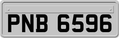PNB6596