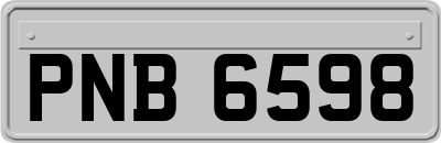 PNB6598