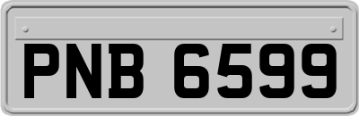 PNB6599
