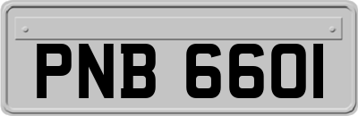 PNB6601