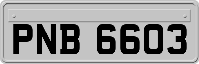 PNB6603