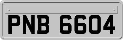 PNB6604