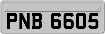 PNB6605