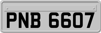 PNB6607