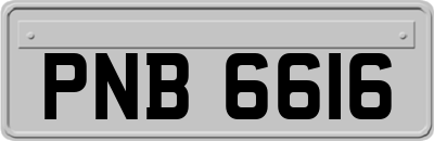 PNB6616
