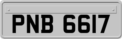 PNB6617