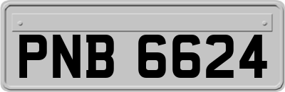 PNB6624