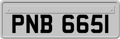 PNB6651