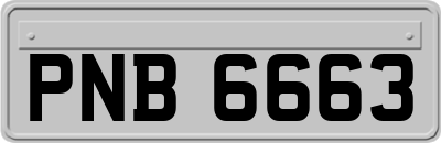 PNB6663