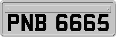 PNB6665