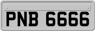 PNB6666