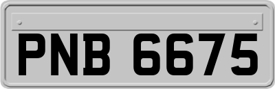 PNB6675