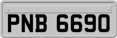 PNB6690