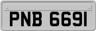 PNB6691