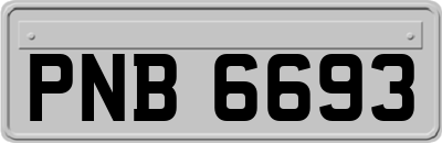 PNB6693