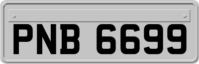 PNB6699
