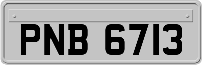 PNB6713