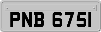 PNB6751