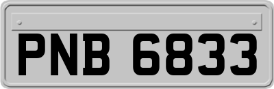 PNB6833