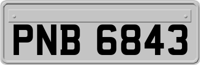 PNB6843