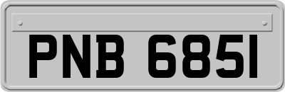 PNB6851