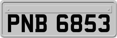 PNB6853