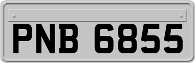 PNB6855