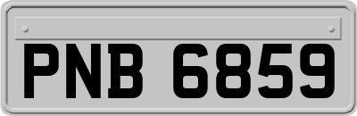 PNB6859