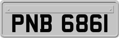 PNB6861