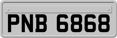 PNB6868