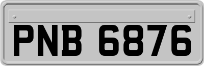 PNB6876